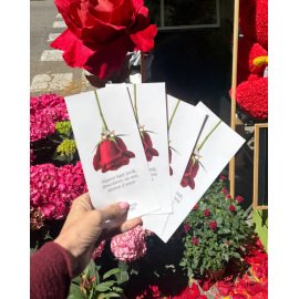 ???? Feliç Sant Jordi! ????In celebration of Sant Jordi Day yesterday, our showroom team took to